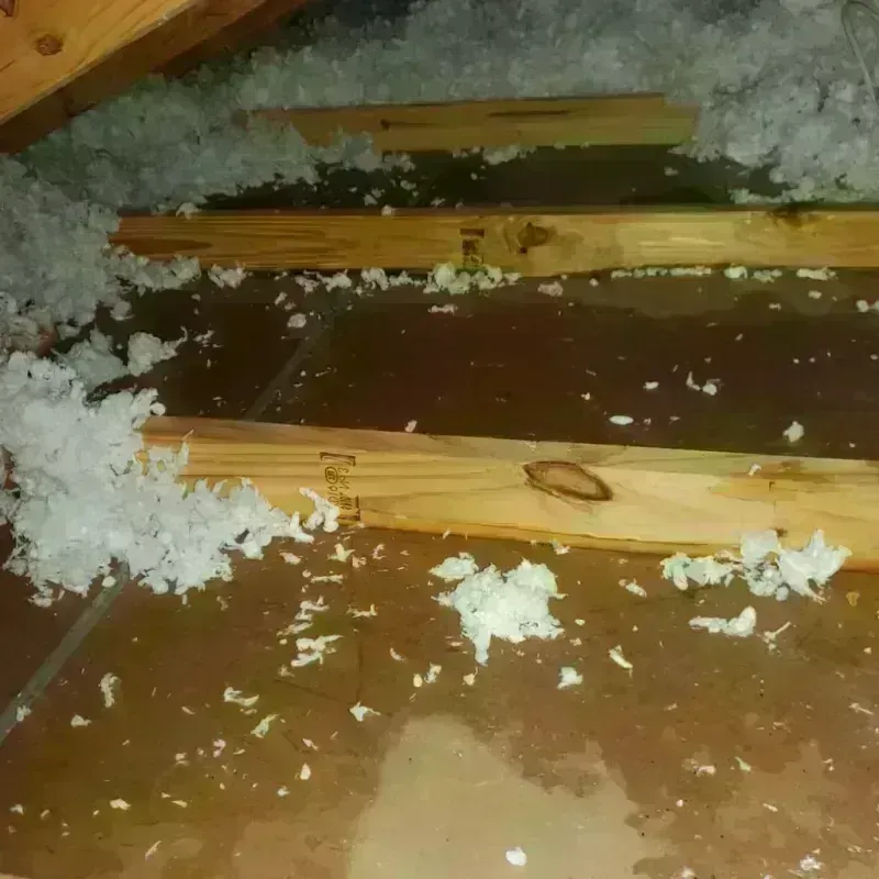 Attic Water Damage in Oakland, SC