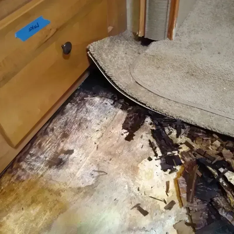 Wood Floor Water Damage in Oakland, SC